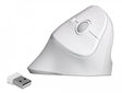 Delock 12596 Ergonomic Usb Mouse Vertical - Wireless