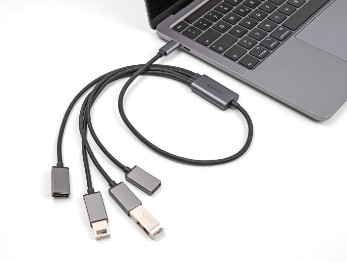 Delock 64210 4 Port Usb 2.0 Cable Hub With Usb Type-C™ Connector 60 Cm