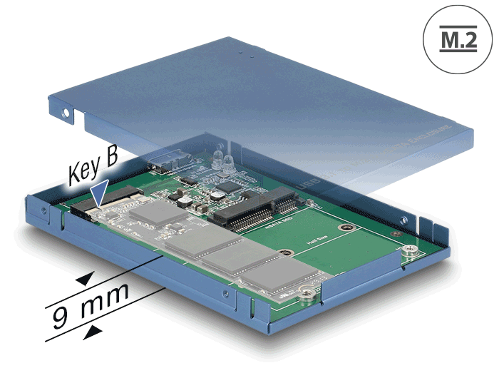 Delock 62731 2.5″ Converter Usb 10 Gbps Micro-B Female To M.2 / Msata