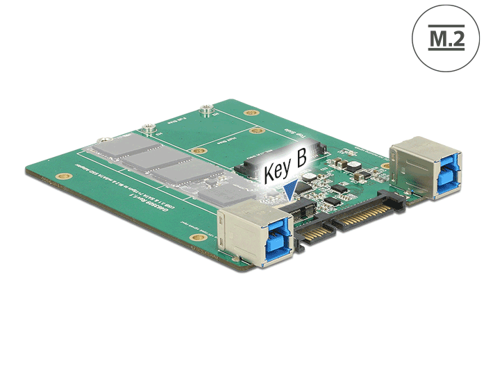 Delock 62732 Converter Sata / Usb 3.1 Type-B Female > M.2 / Msata Slot