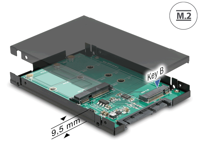 Delock 62866 2.5″ Converter Sata 22 Pin > 1 X M.2 Key B + 1 X Msata - 9.5 Mm