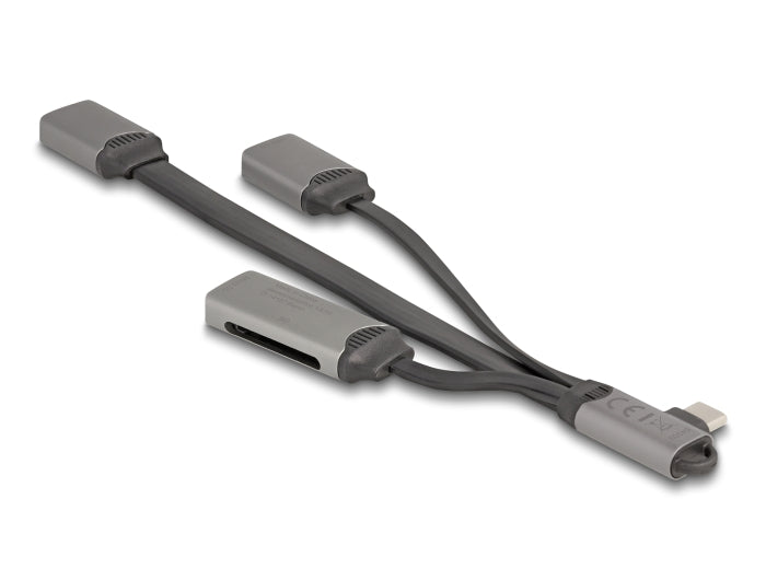 Delock 64303 2 Port Usb Hub Including Sd And Micro Sd Card Reader