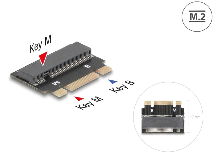 Delock 64342 Adapter M.2 Key B+M Male To M.2 Key M Slot - Extension