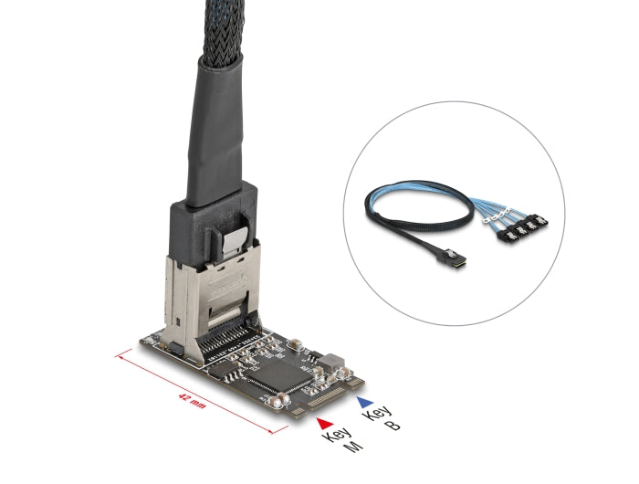 Delock 64260 M.2 2242 Key B+M Controller To 4 X Sata With 1 M Cable