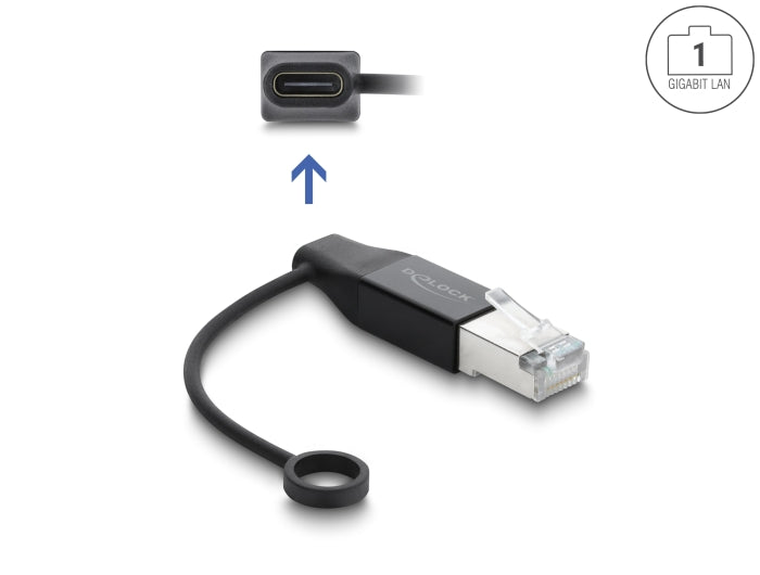 Delock 61101 Usb Type-C™ Network Adapter Gigabit Lan 1 X Rj45 Plug