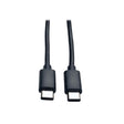 Tripp-Lite CB U040-006-C USB 2.0 USB Type-C (USB-C) to USB Type-C M M 6ft