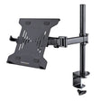 StarTech AC A-LAPTOP-DESK-MOUNT Monitor and Laptop Mount up to 34 9.9lb RTL