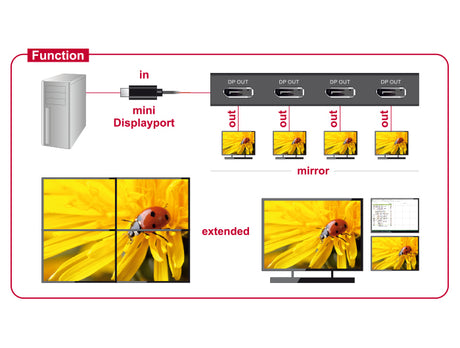 Delock 87693 Displayport 1.2 Splitter 1 X Mini Displayport In
