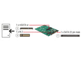 Delock 62670 Converter Sata 22 Pin > 1 X M.2 + 1 X Msata