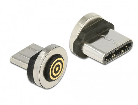 Delock 65933 Magnetic Adapter Usb Type-C™ Male