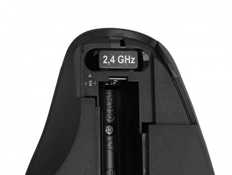 Delock 12598 Ergonomic Usb Mouse - Wireless