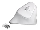 Delock 12596 Ergonomic Usb Mouse Vertical - Wireless