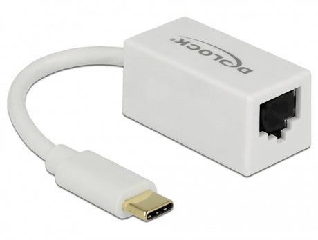 Delock 65906 Adapter Superspeed Usb (Usb 3.1 Gen 1) With Usb Type-C™ Male