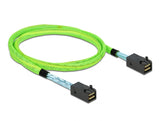 Delock 86625 Pci Express Cable Mini Sas Hd Sff-8673 To Sff-8673 1 M