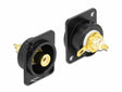 Delock 86787 D-Type Module Rca Female To Solder Connector