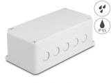 Delock 60491 Installation Housing With Cable Entries 200 X 100 X 70 Mm Grey