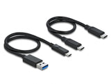 Delock 64000 M.2 Docking Station For M.2 Nvme Pcie Ssd With Usb Type-C™ Female