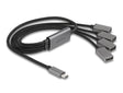 Delock 64210 4 Port Usb 2.0 Cable Hub With Usb Type-C™ Connector 60 Cm