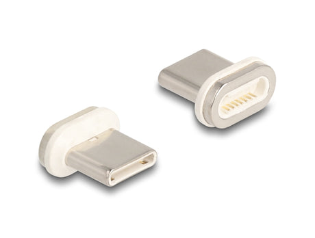 Delock 66588 Magnetic Adapter Usb Type-C™ Male