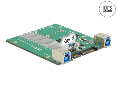 Delock 62732 Converter Sata / Usb 3.1 Type-B Female > M.2 / Msata Slot