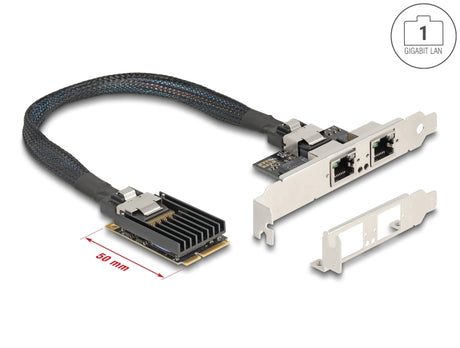 Delock 95280 Mini Pcie I/O Pcie Full Size 2 X Rj45 Gigabit Lan
