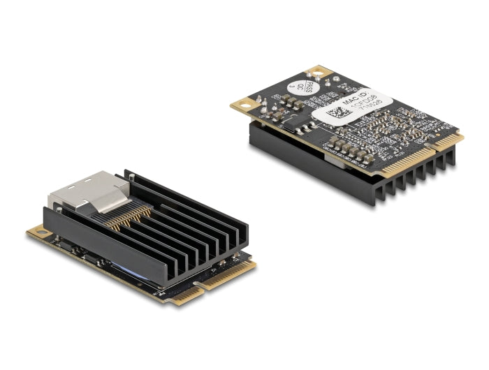 Delock 95280 Mini Pcie I/O Pcie Full Size 2 X Rj45 Gigabit Lan