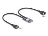 Delock 64346 Mini Pcie Adapter Full Size To 2 X Usb 2.0 Type-A Female 30 Cm
