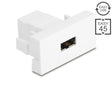 Delock 90866 Easy 45 Module, Easy-Usb 2.0 Type-A Female To Easy-Usb Type-A