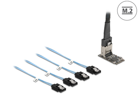 Delock 64260 M.2 2242 Key B+M Controller To 4 X Sata With 1 M Cable
