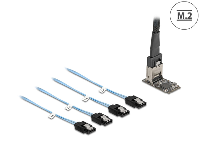 Delock 64260 M.2 2242 Key B+M Controller To 4 X Sata With 1 M Cable