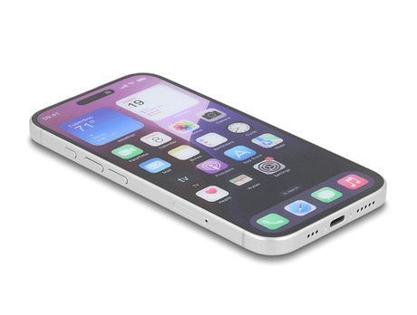 Delock 81281 Screen Protector Privacy Glass For Iphone 16