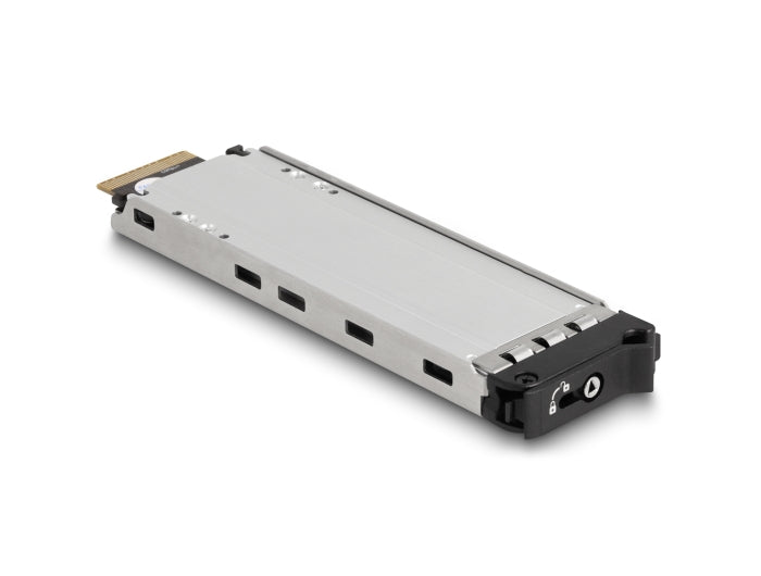 Delock 47138 Mobile Rack For 2 X M.2 Nmve Ssd With Sff-8654 Connector