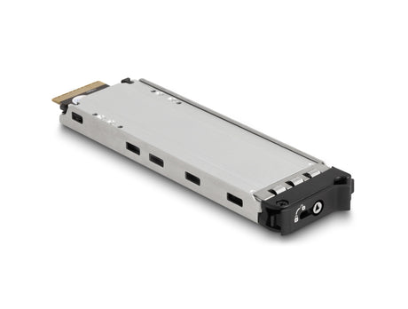 Delock 47138 Mobile Rack For 2 X M.2 Nmve Ssd With Sff-8654 Connector