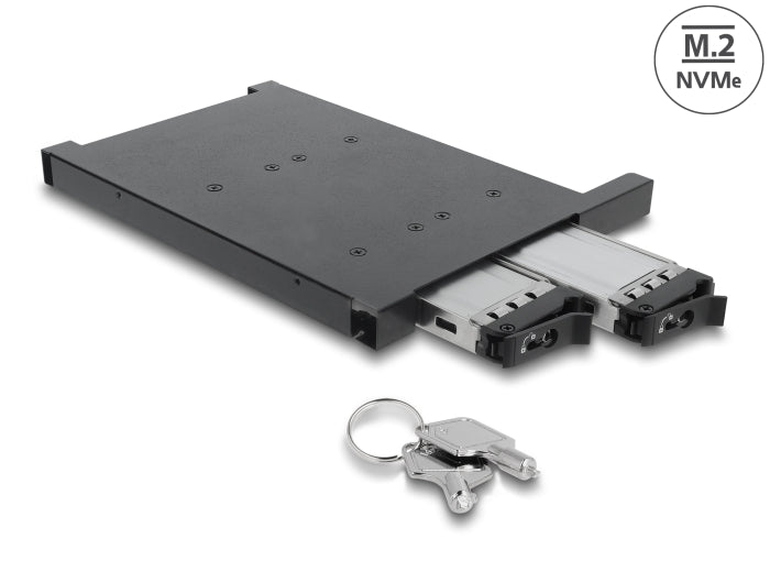 Delock 47138 Mobile Rack For 2 X M.2 Nmve Ssd With Sff-8654 Connector