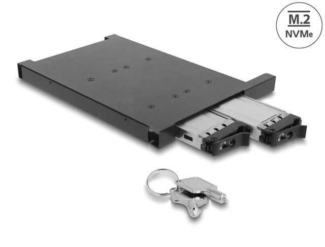 Delock 47138 Mobile Rack For 2 X M.2 Nmve Ssd With Sff-8654 Connector