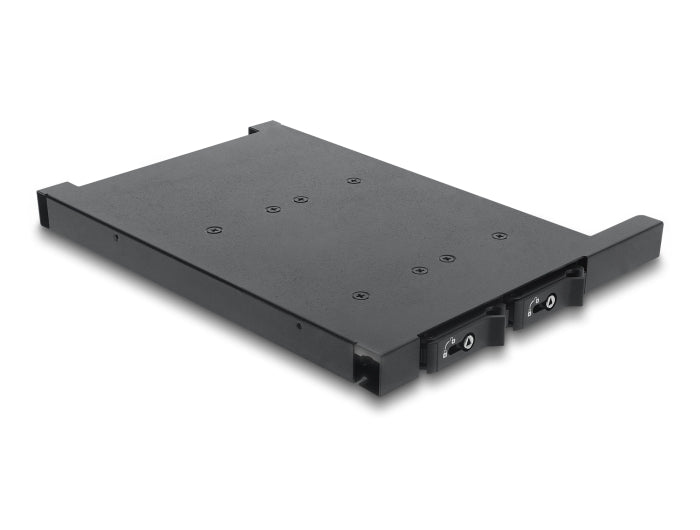 Delock 47138 Mobile Rack For 2 X M.2 Nmve Ssd With Sff-8654 Connector