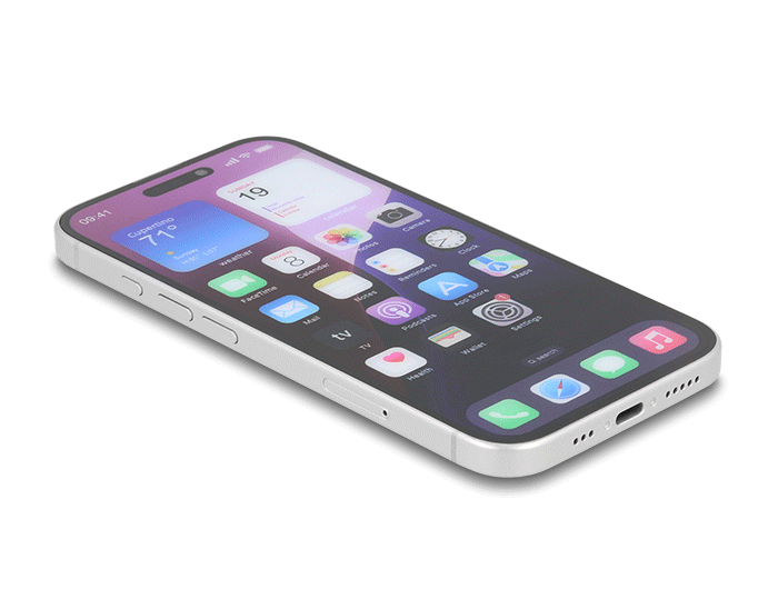 Delock 81649 Screen Protector Privacy Glass For Iphone 17, 2 Ways