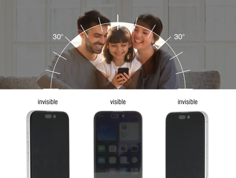 Delock 81653 Screen Protector Privacy Glass For Iphone 16 Pro, 4 Ways