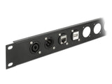 Delock 91176 D-Type Module Rj45 Jack To Jack 90° Angled Cat.6A Silver