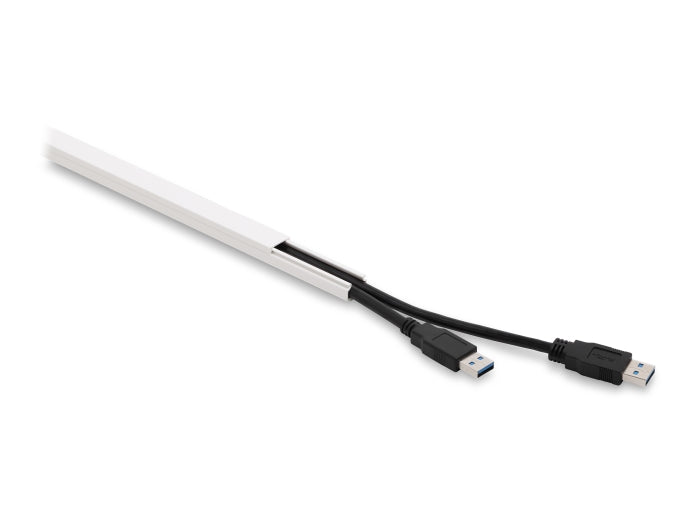 Delock 22066 Cable Duct Self-Adhesive With Sliding Cover 15 X 10 Mm, Length 1 M