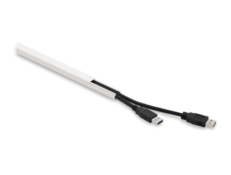 Delock 22066 Cable Duct Self-Adhesive With Sliding Cover 15 X 10 Mm, Length 1 M
