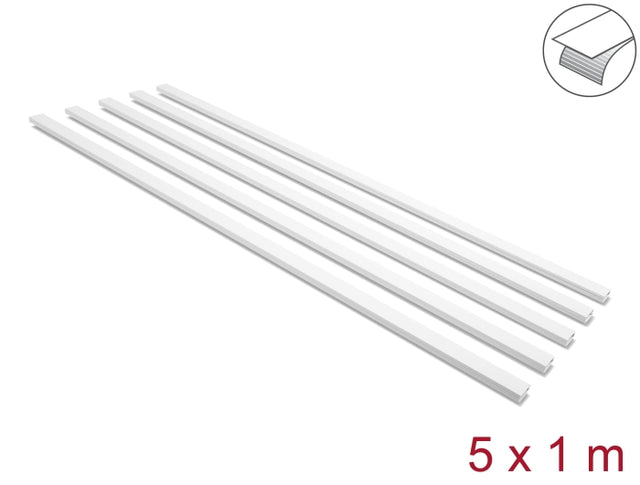 Delock 22068 Cable Duct Self-Adhesive With Sliding Cover 25 X 10 Mm, Length 1 M