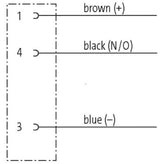 MurrElektronik 7000-08081-6330500 M8 Female Connector 90° Cable 22AWG