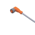Ifm EVW004 Connection Cable, 2m PUR-Cable; M12 Connector