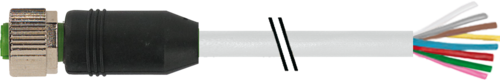 MurrElektronik 7000-17041-2921000 Cable M12 8-Pole, 10M Long
